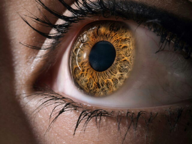 “Lazy Eye”: Early Warning Signs and Screenings for Parents of Little Ones